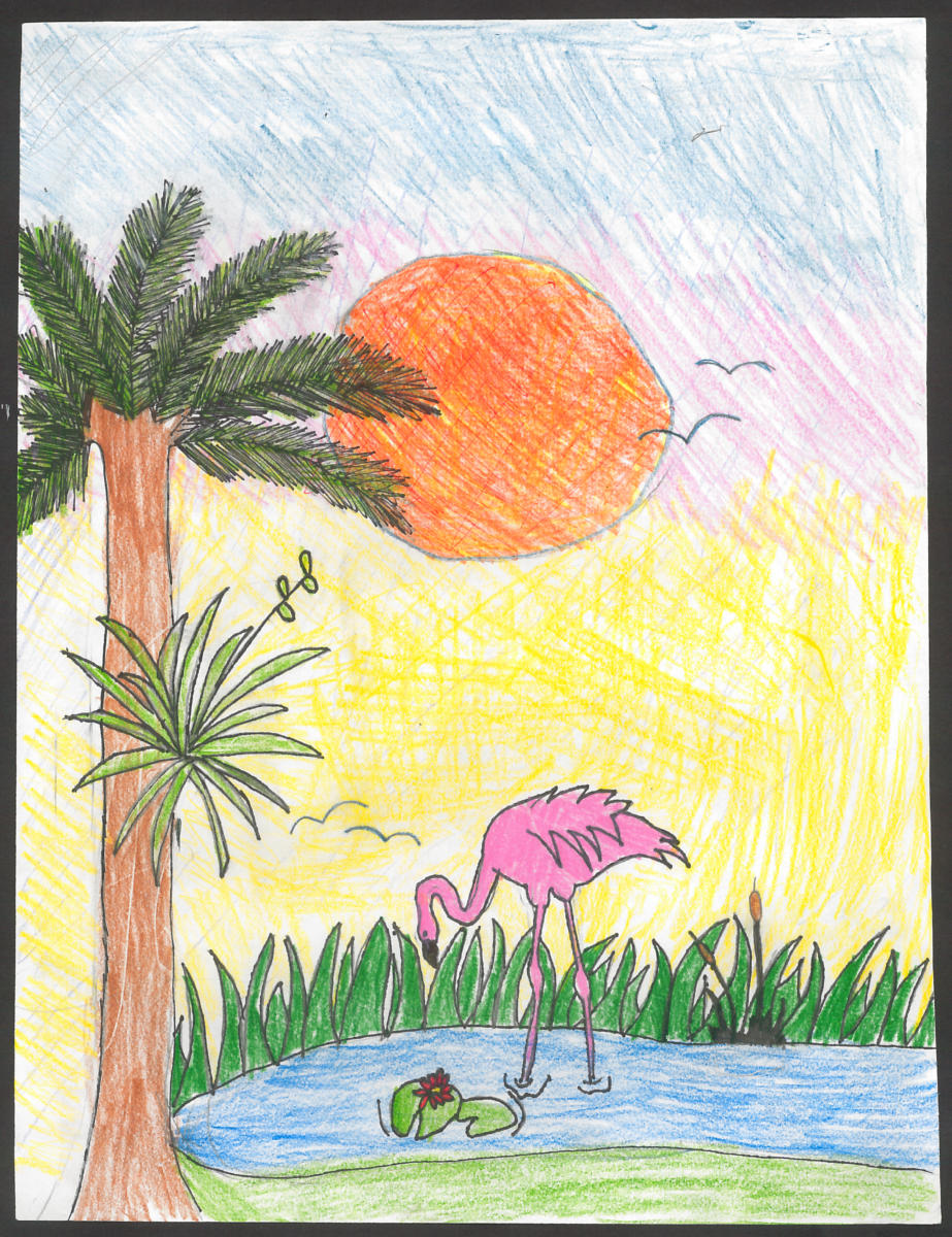 "Everglades" by Adriana Korzak