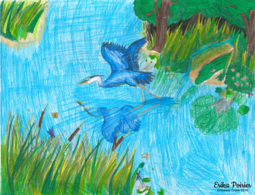 "Blue Heron" by Erika Poirier
