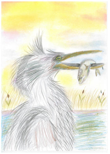 "Catching Dinner" by Iyan Alemany