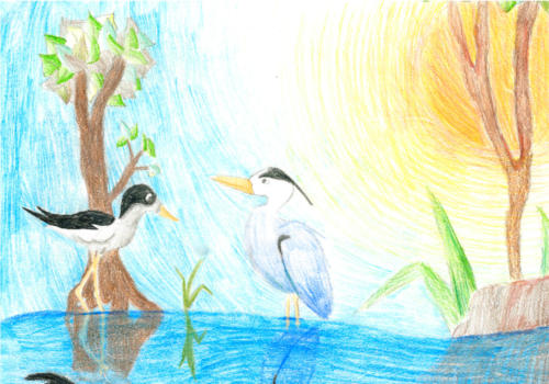 "Everglades Beauty" Bianca Whitaker