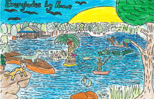 "Everglades by Home" Chase Shannon