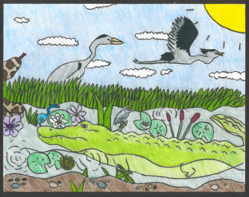 "Everglades Swamp" by Layla Salom