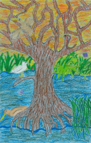 "Mangrove Tree" by Unknown