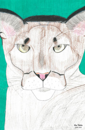 "Eye of the Panther" by Mia Tubito