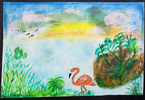 "Everglades" by Sabrina Peralta