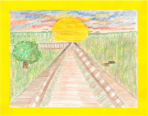 In the Everglades" by Mariana Correa